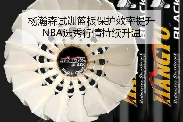 杨瀚森试训篮板保护效率提升 NBA选秀行情持续升温 | mksports